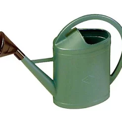 Castorama Arrosoir EDA Parisien 3 Litres En Plastique Coloris Vert Métal Pomme D'arrosage Incluse