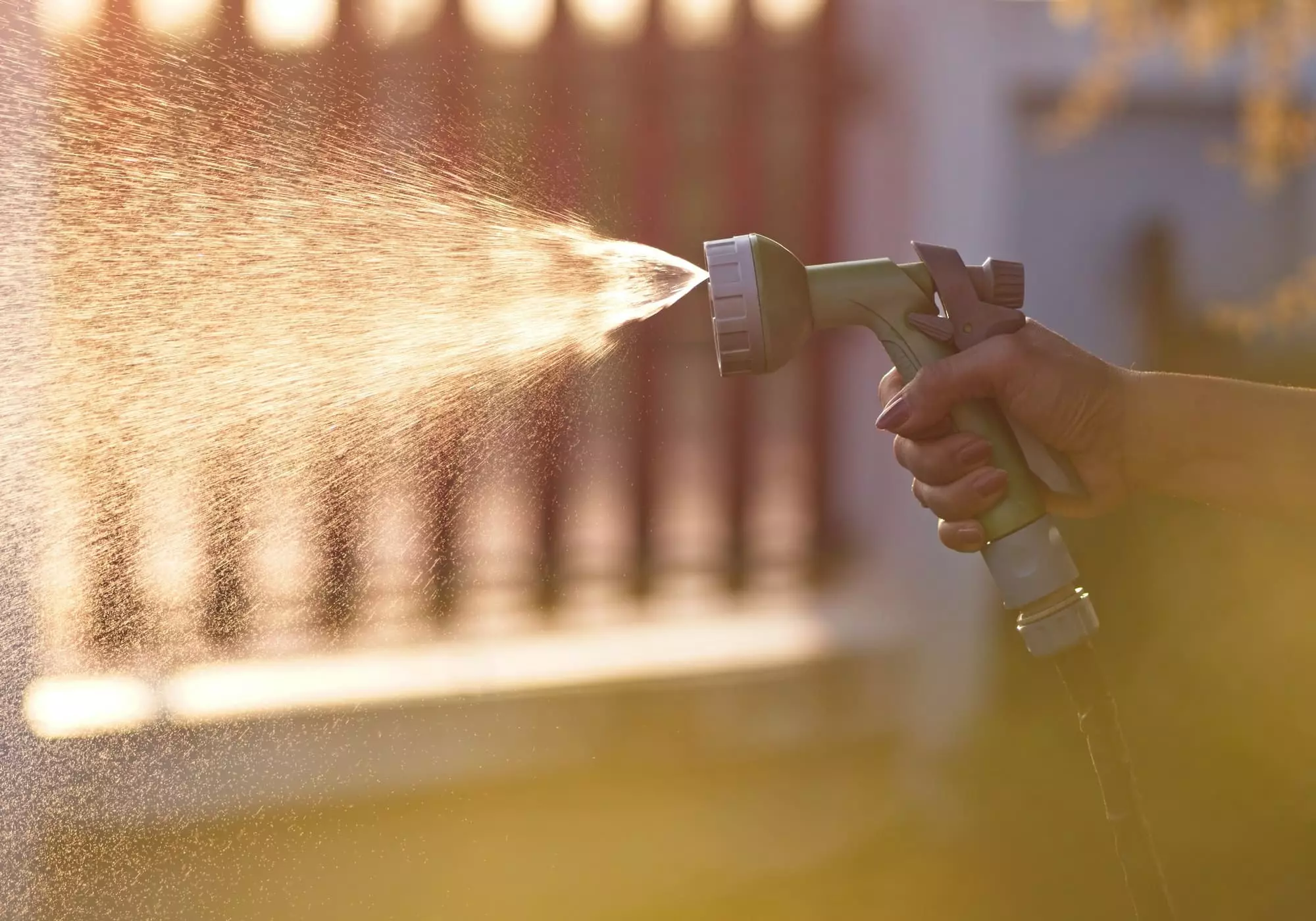 Arrosage, pompe et récupérateur d'eau Elegant store -Arrosage, pompe et récupérateur d'eau Elegant store water spray from watering in the garden